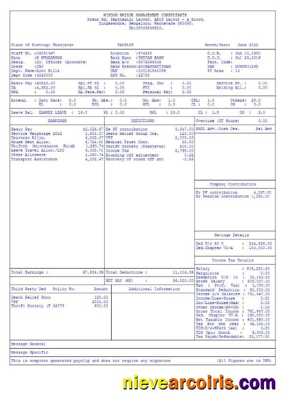 Wisdom Bridge Management Consultants payslip 4